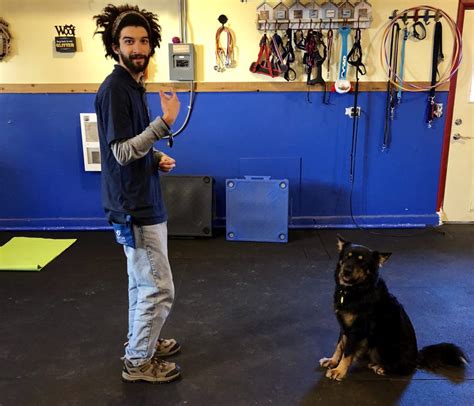 catch canine trainers academy